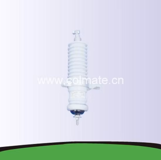 22kv 합성 큰 파도 피뢰기 피뢰기 금속 산화물 틈이 없는 중합체 합성 중합체 15kv 22kv 33kv 36kv 고전압 사기그릇 세라믹 역